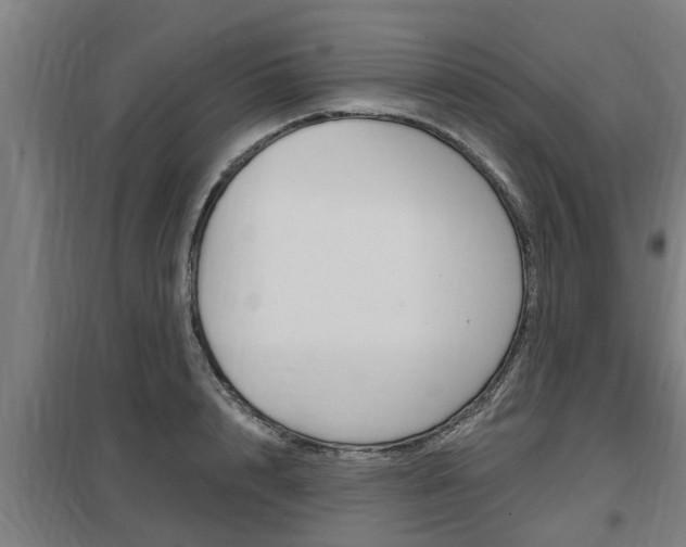 X0000098030848200803280729