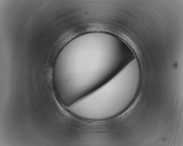 X0000098030849200803280729