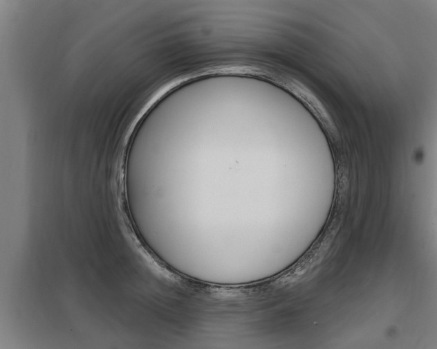 X0000098030852200803280729
