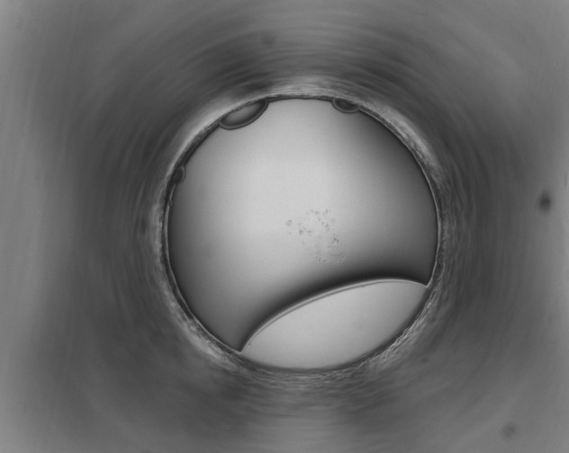X0000098030854200803280729