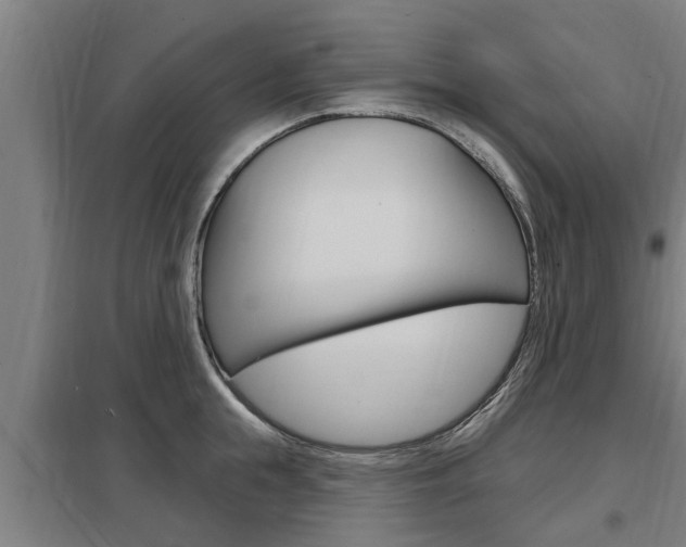 X0000098030855200803280729