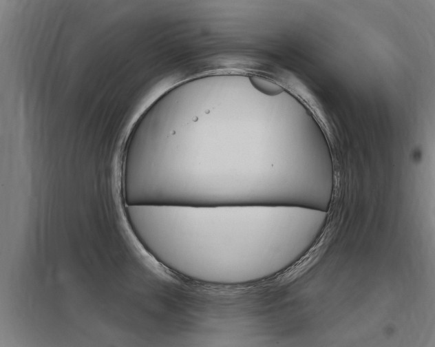 X0000098030859200803280729