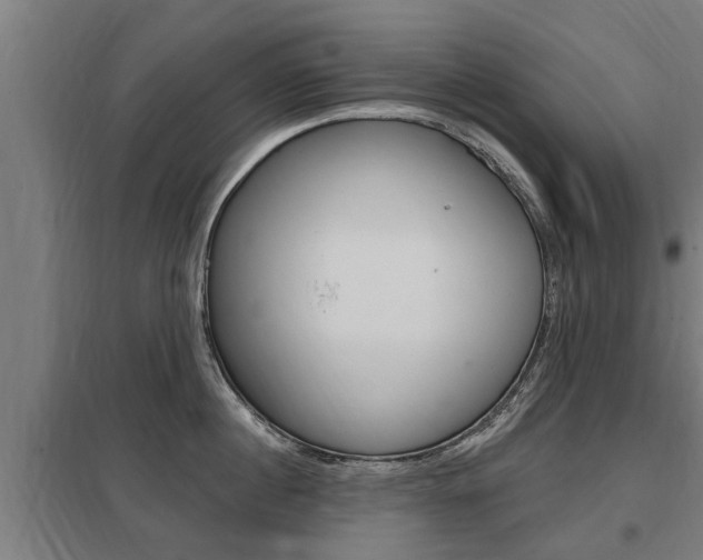 X0000098030860200803280729