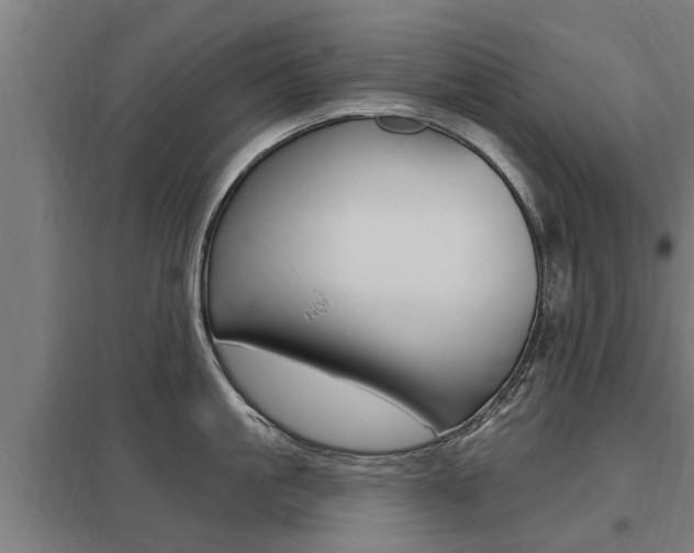 X0000098030861200803280729