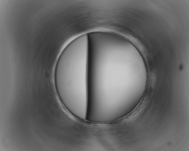 X0000098030862200803280729