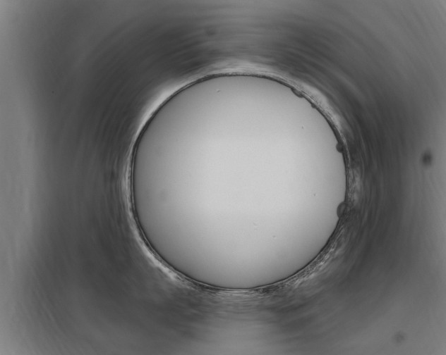 X0000098030863200803280729