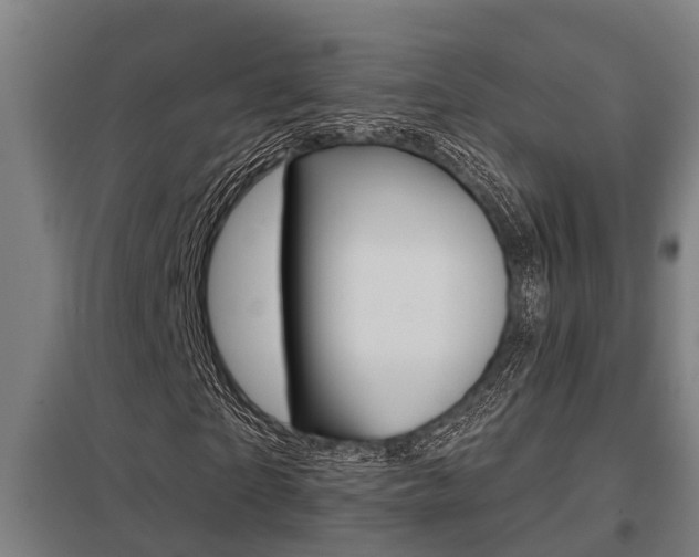 X0000098030865200803280729