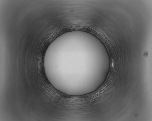 X0000098030867200803280729