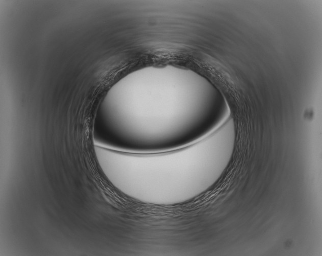 X0000098030868200803280729