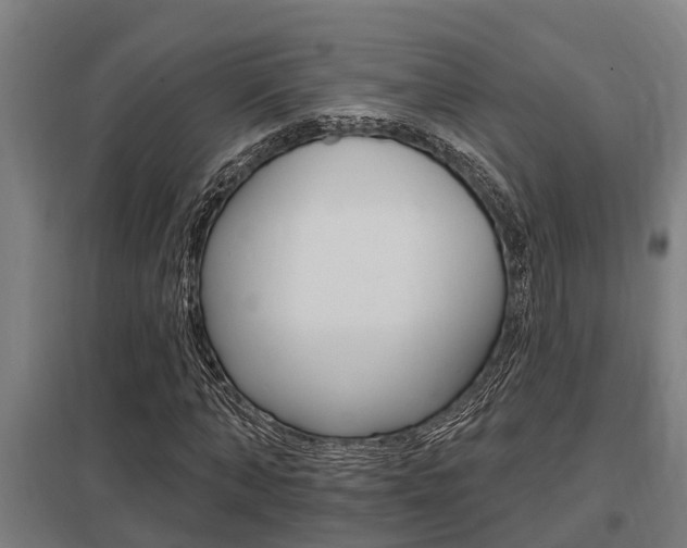 X0000098030870200803280729