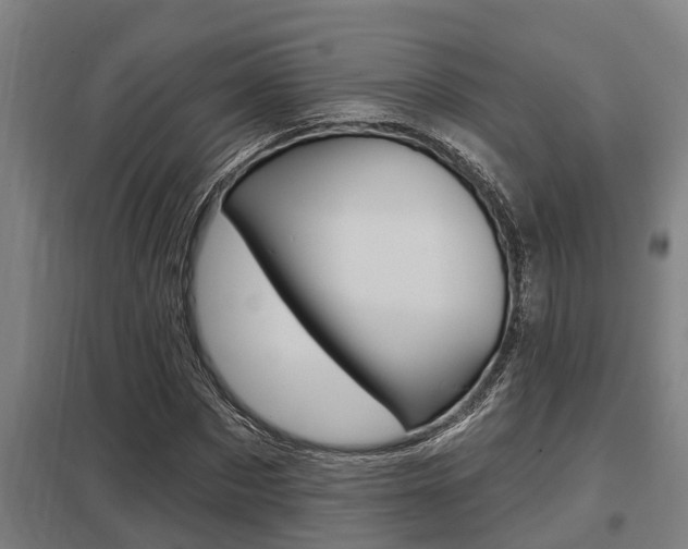X0000098030873200803280729