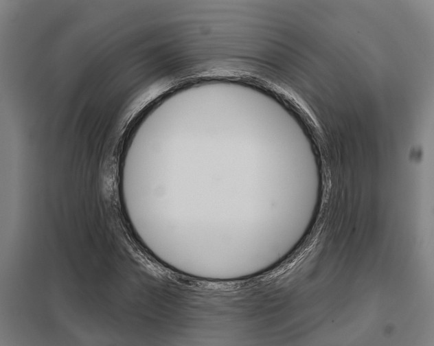 X0000098030874200803280729
