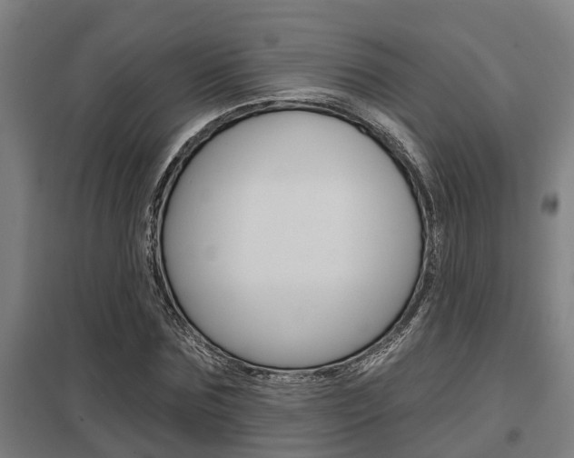 X0000098030875200803280729