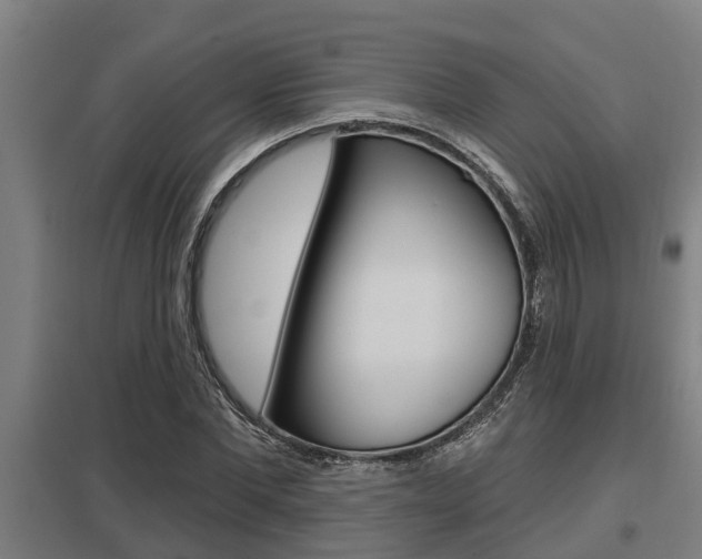 X0000098030877200803280729