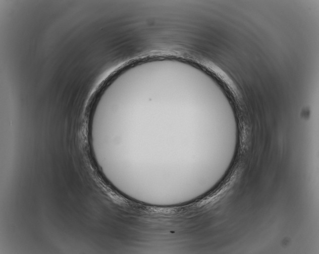 X0000098030878200803280729