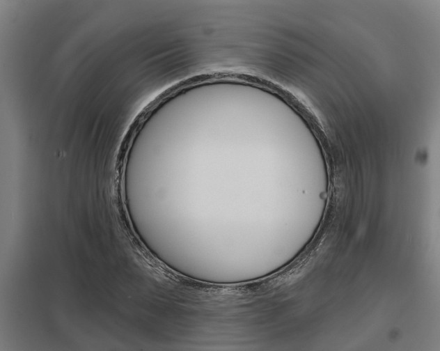 X0000098030879200803280728