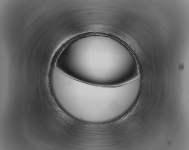 X0000098030880200803280728