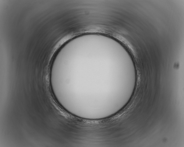 X0000098030882200803280728