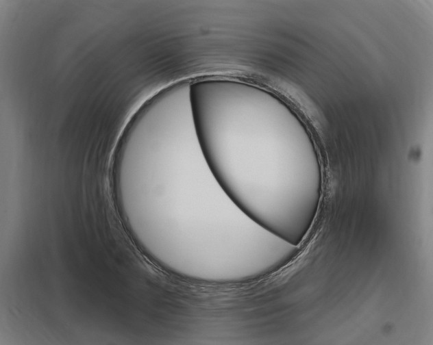 X0000098030883200803280728