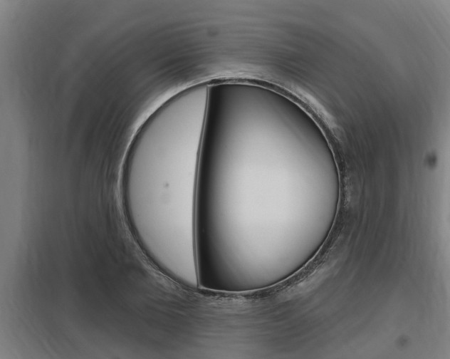 X0000098030885200803280728