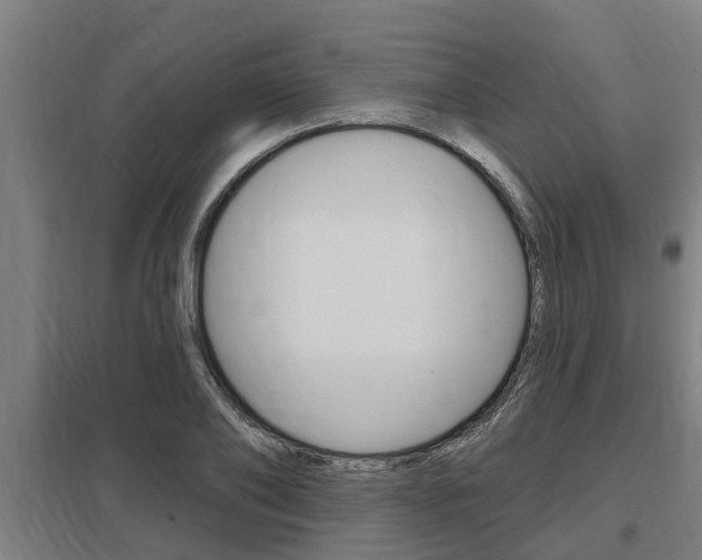 X0000098030886200803280728
