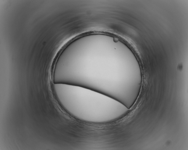 X0000098030887200803280728