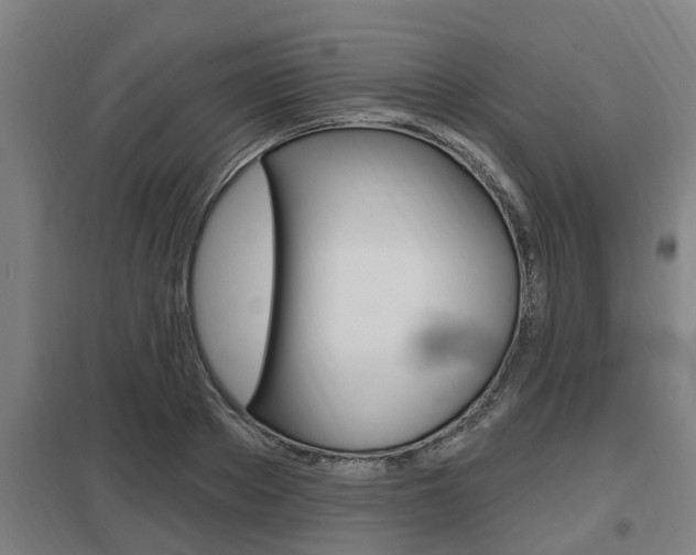 X0000098030889200803280728
