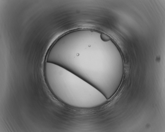 X0000098030891200803280728
