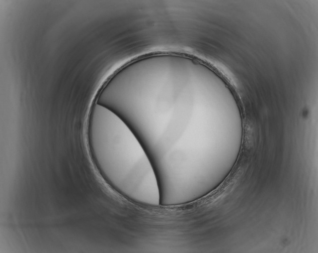 X0000098030895200803280728