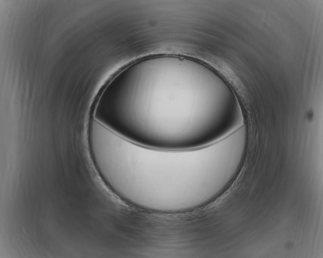 X0000098030896200803280728