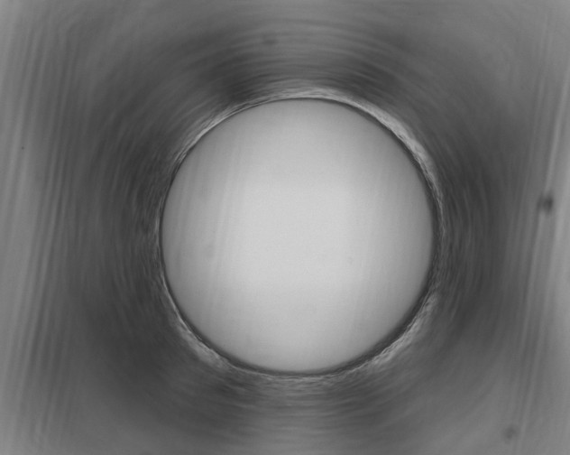 X0000098030897200803280728