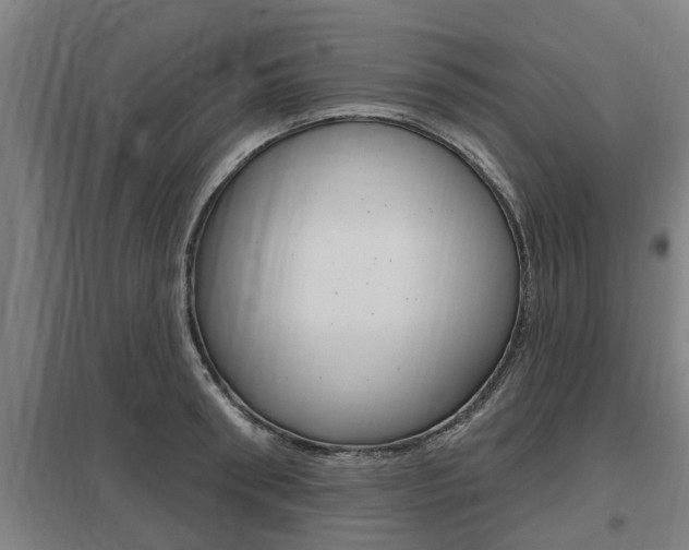 X0000098030898200803280728