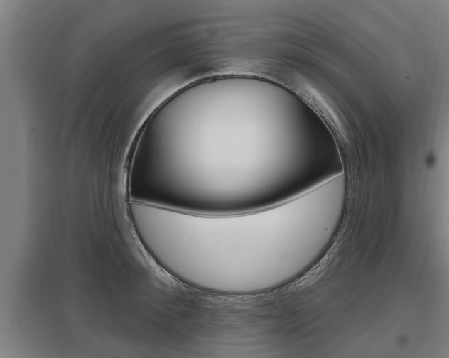 X0000098030900200803280728