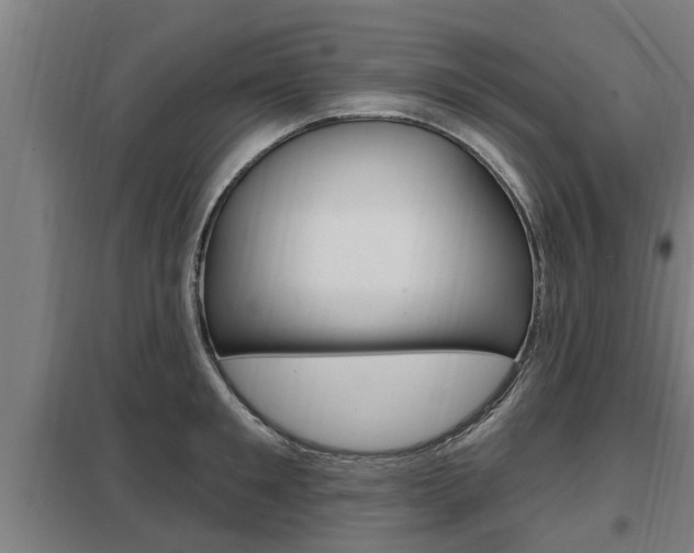 X0000098030901200803280728