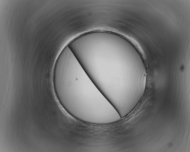 X0000098030903200803280728