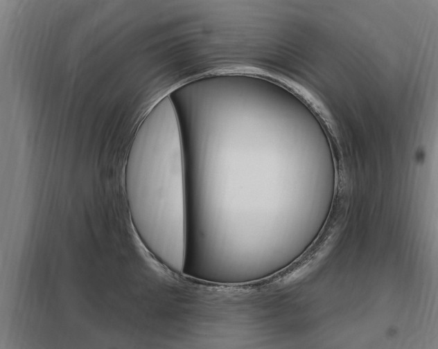 X0000098030905200803280728
