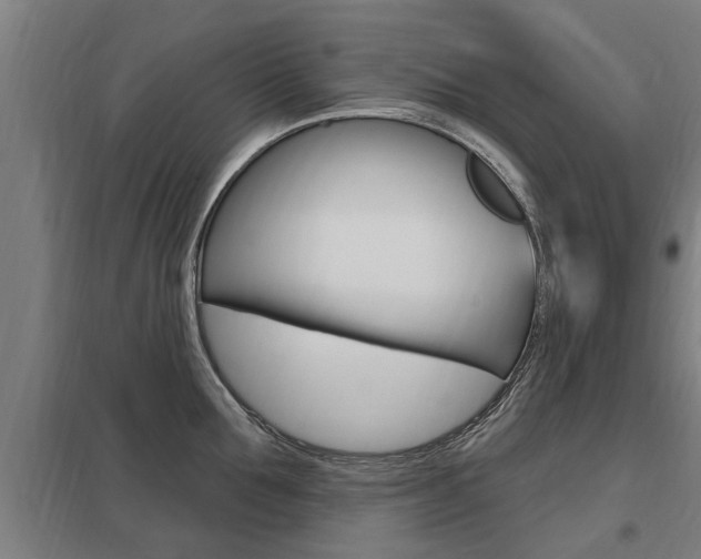X0000098030907200803280728