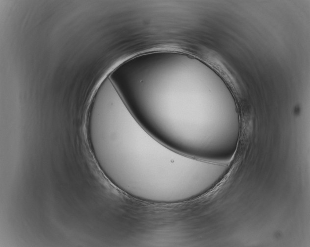 X0000098030908200803280728