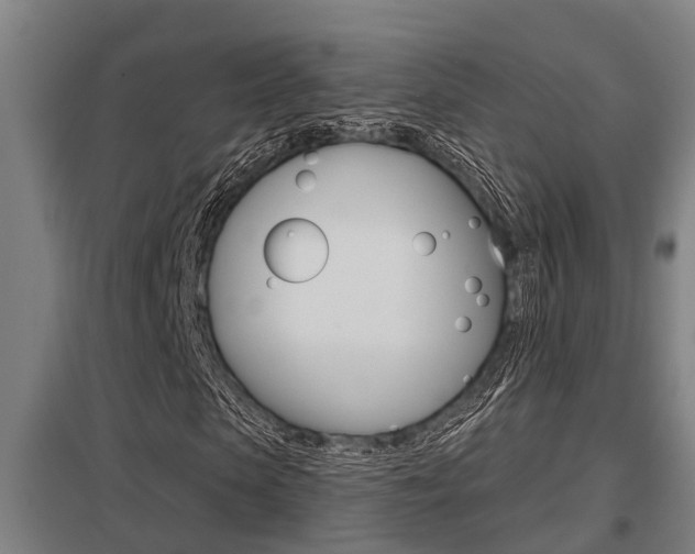 X0000098030913200803280727