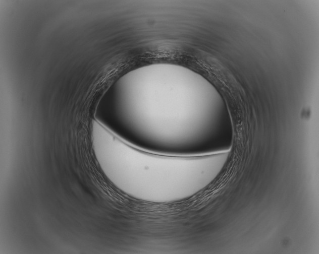 X0000098030916200803280727