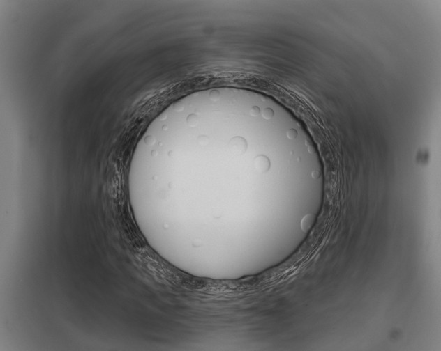 X0000098030917200803280727