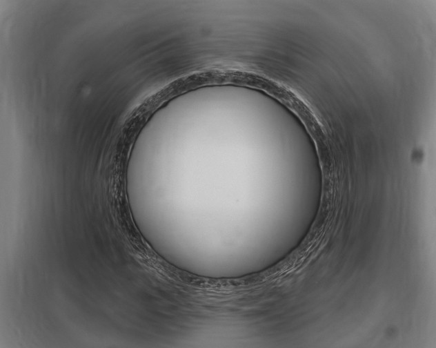 X0000098030919200803280727