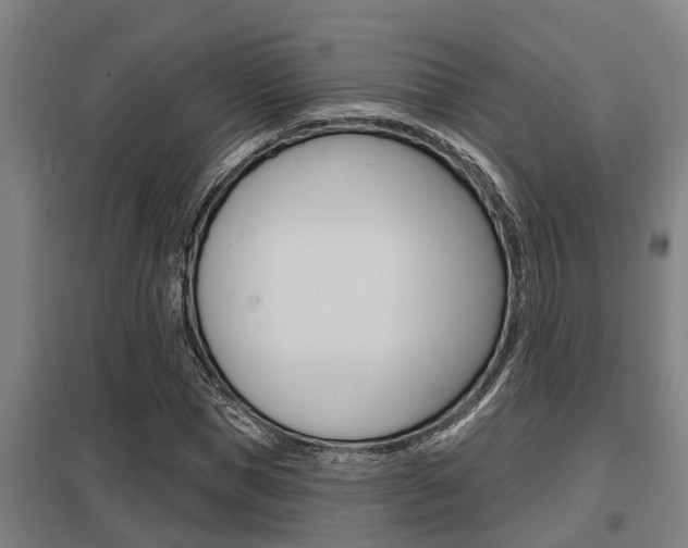 X0000098030921200803280727