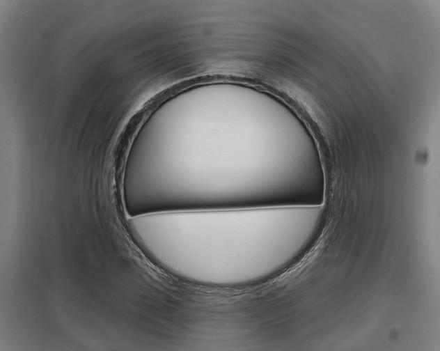 X0000098030923200803280728