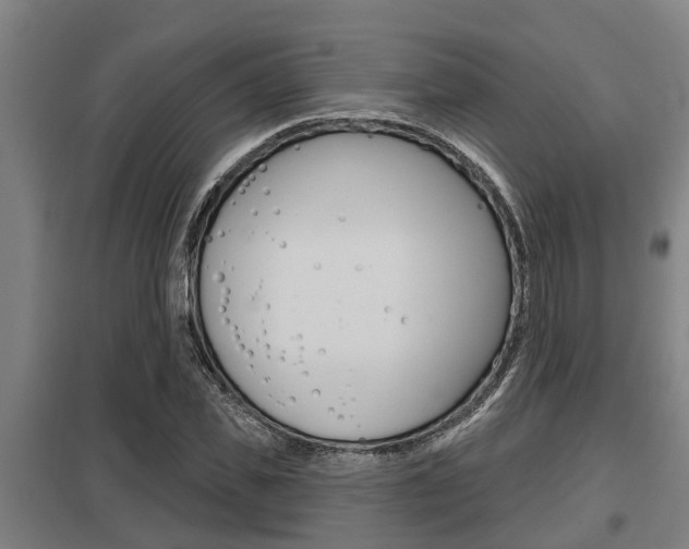 X0000098030925200803280728