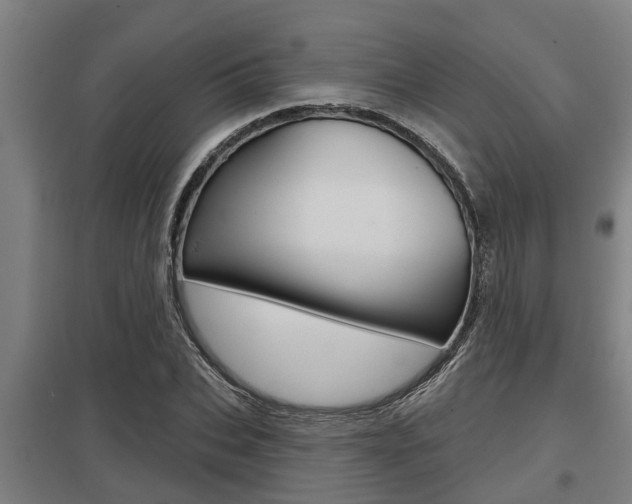 X0000098030927200803280728