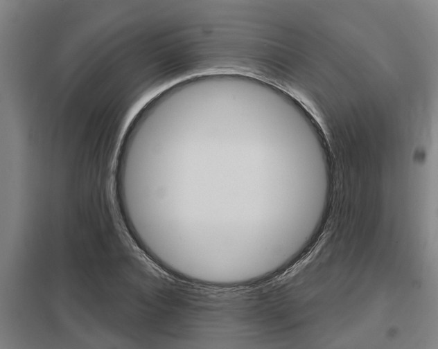 X0000098030928200803280728