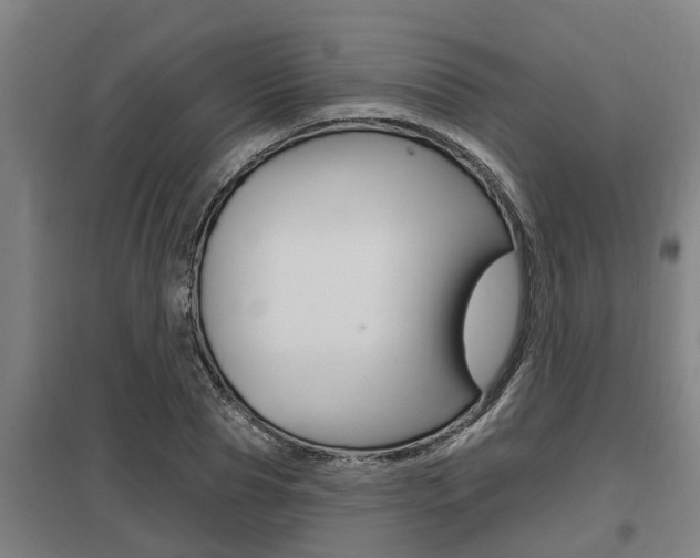 X0000098030929200803280728