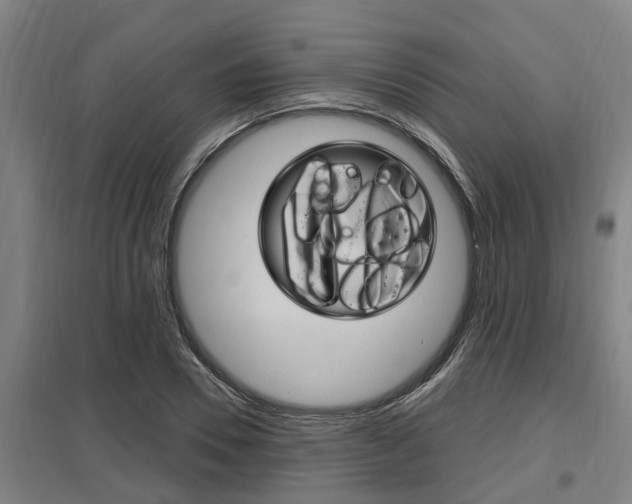 X0000098030930200803280728