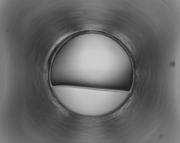 X0000098030931200803280728